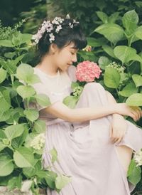 桑榆非晚许佳言叶桉后续+全文