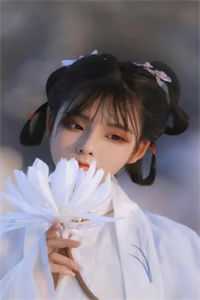 小说镜花不比人间月聂元峥林汐汐全章节免费阅读