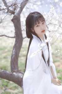 如风如光如泡影小说全文免费阅读