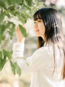 爱囚于婚、破茧成蝶无删减+无广告
