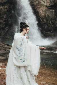 女帝跨界求购，我的保险太香了结局+番外小说