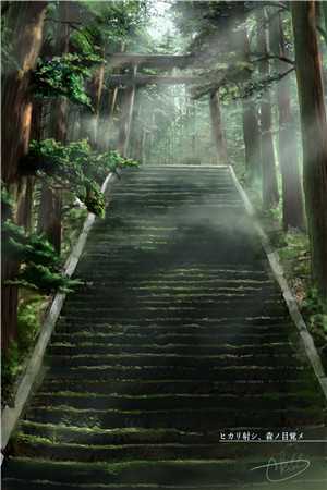 七日循环后续