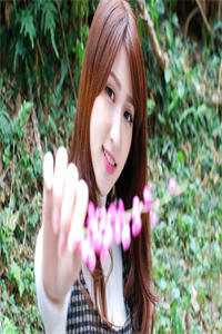 奈何惊鸿入我心小说江疏桐段知许完结版