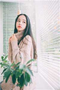 爱恨相融，再无以后全文小说陆景宴婉婉最新章节