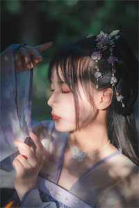 傅之南傅婉瑜写的小说假凤凰是我自己