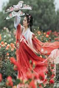 成为完美妻子的三天倒计时全文小说沈云清叶婉柔最新章节