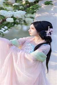 花飞花谢碾入尘完结版宋昭意沈寂