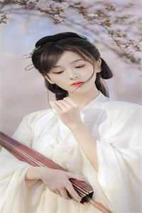 岁岁长安燕归来无删减+无广告