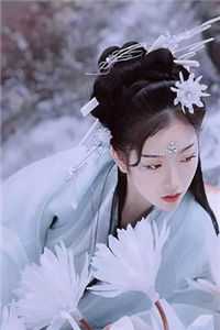 昭雪集结局+番外