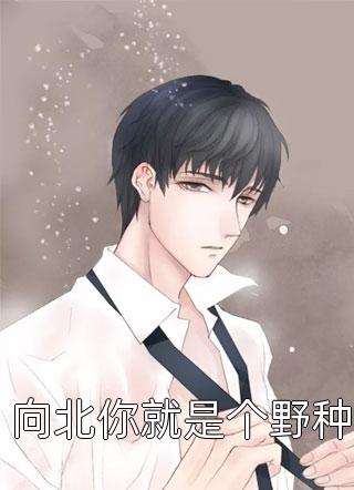 陆绾音江辰爱如蜉蝣小说