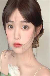 李鸿章传（王纪卿译版）小说