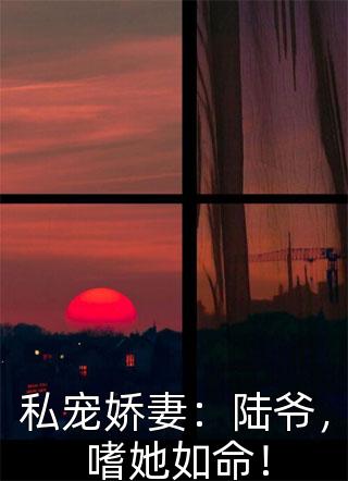 他走时，烟雨如雾完结版顾平生陆清涵