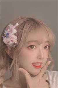 纵使相逢应不识小说萧云轩谢婉瑜完结版
