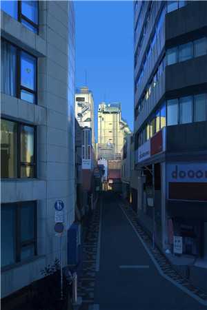 春意遥遥婉婉沈婉完结版小说