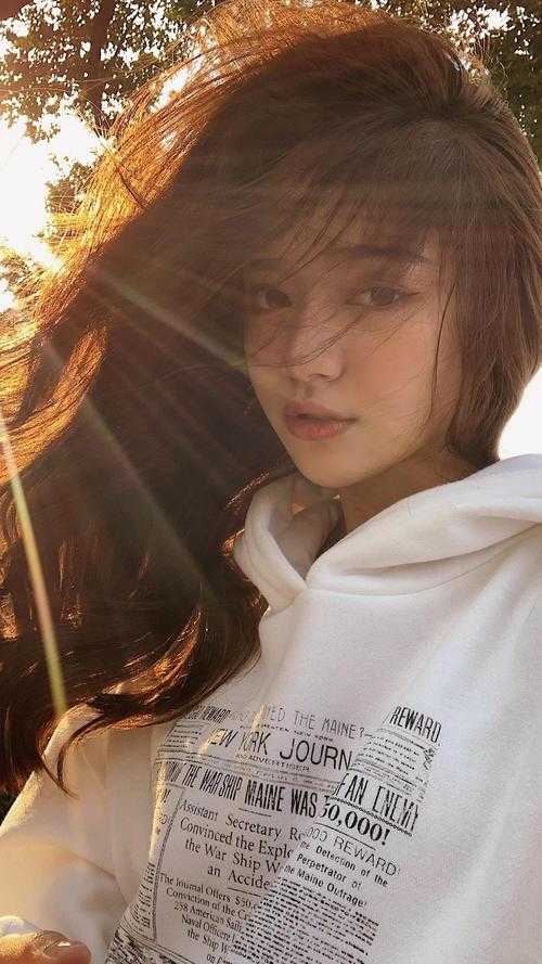 春月不藏星河宋念薇贺时宴全章节小说