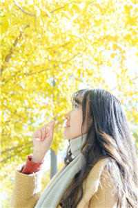 再无暮雪寄相思结局+番外