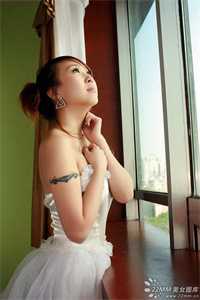 止于金婚小说