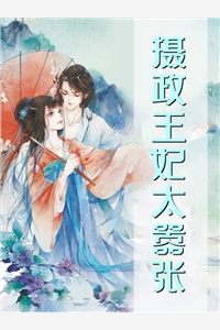 盛景太匆匆完结版宁若曦沈砚舟