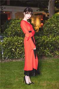 爱恨决绝，大悲无泪小说陆琛婉婉完结版