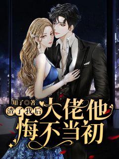 让我抽签为兄弟留种后，丁克老公悔疯了陆怀生林婉清全局
