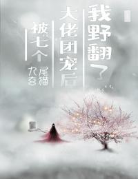 我在时光深处万劫不复完结版小说谢梵声秦见鹿