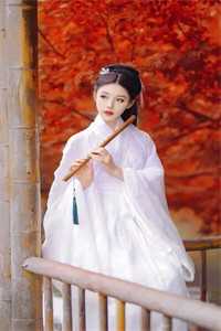 唐修唐婉迷雾之森小说全文免费阅读